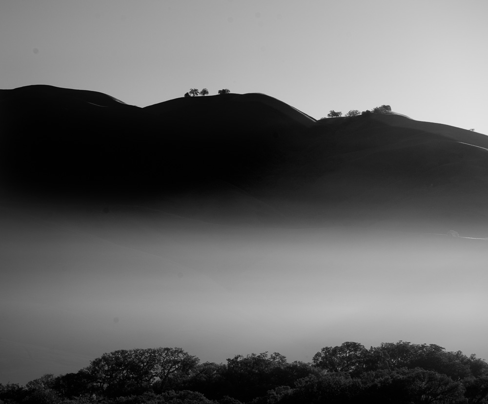 Hills and fog