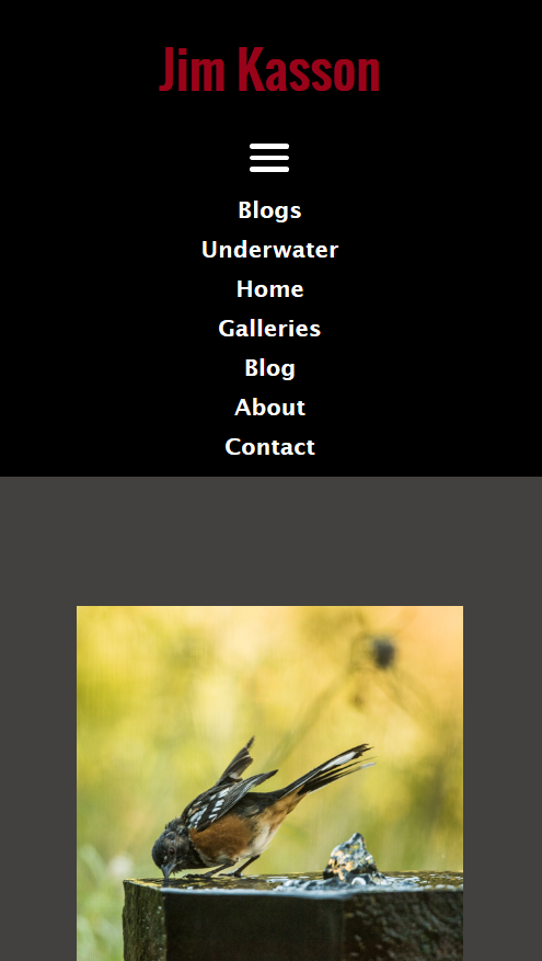 gallery-smart-phone-menu